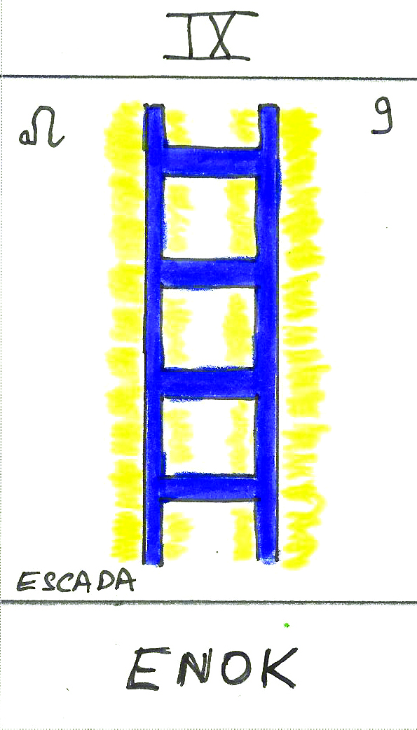 Imagem Aleatória